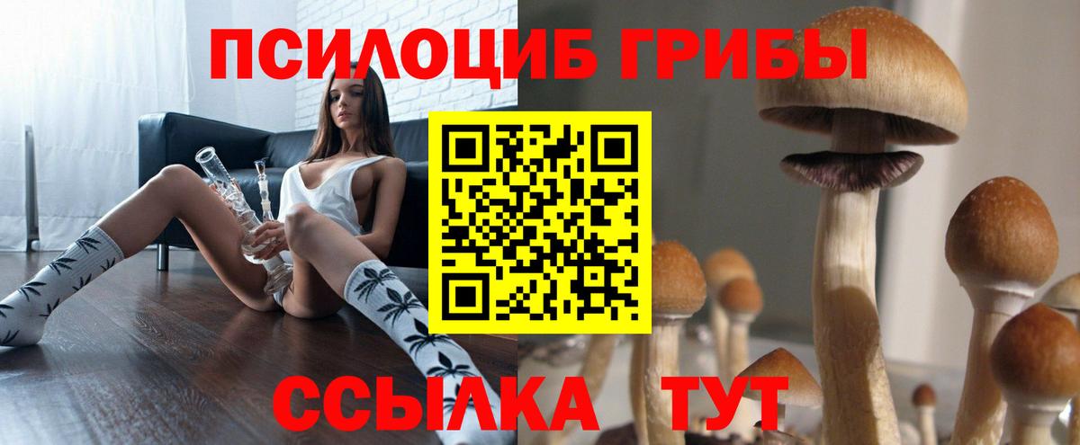 Люберцы  Галлюциногенные грибы GOLDEN TEACHER  Галлюциногенные грибы MAGIC MUSHROOMS  Вход с VPN 